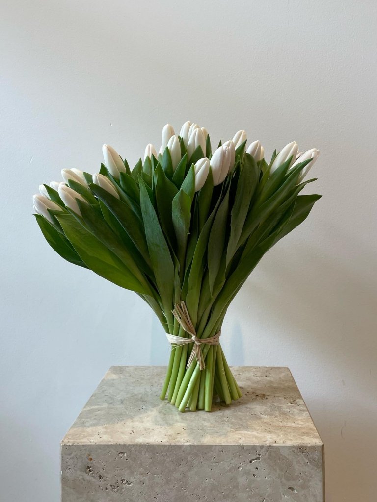 מינימליסטי