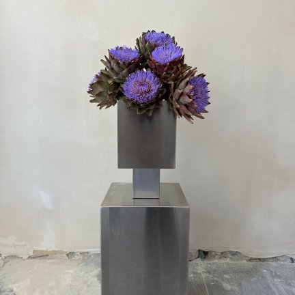 אגרטל נירוסטה