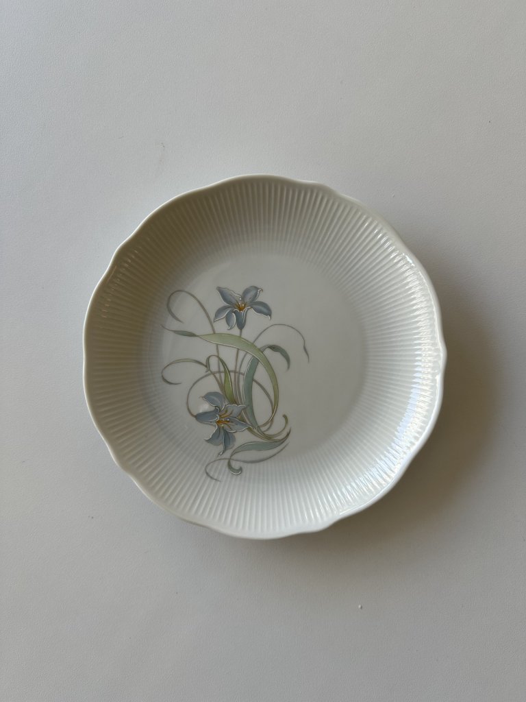 Set Of 12 Decorative Plates