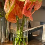 Glass cylinder vase