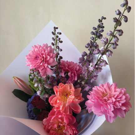 ליידי אין פינק