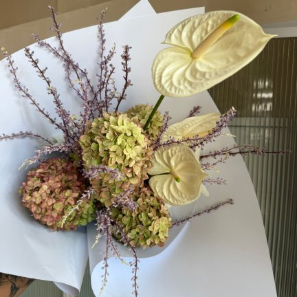 מודרן ספרינג