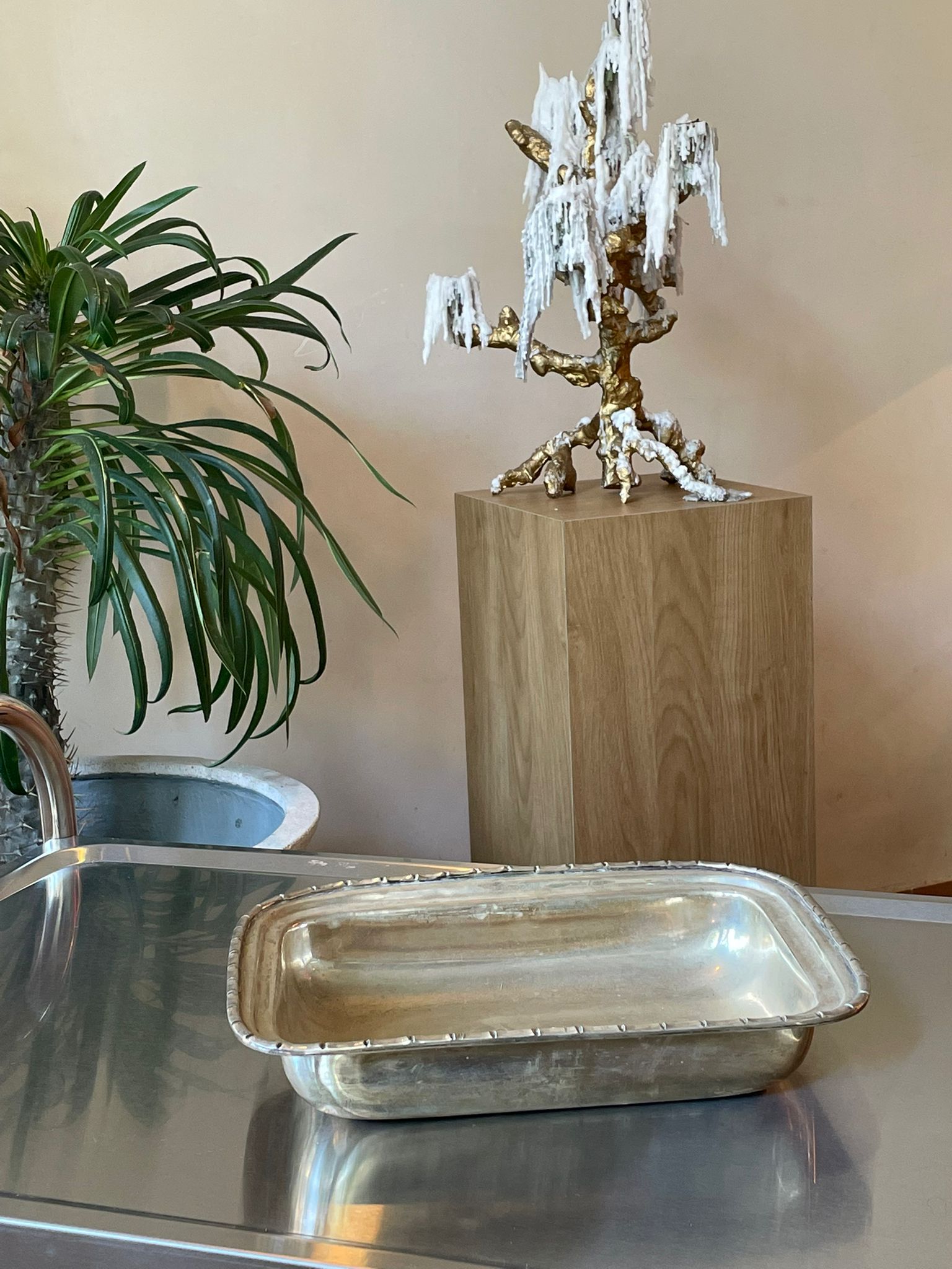 WhatsApp Image 2025-10-29 at 11.17.06