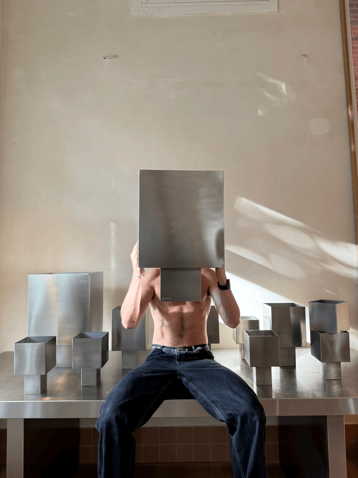 אגרטל נירוסטה