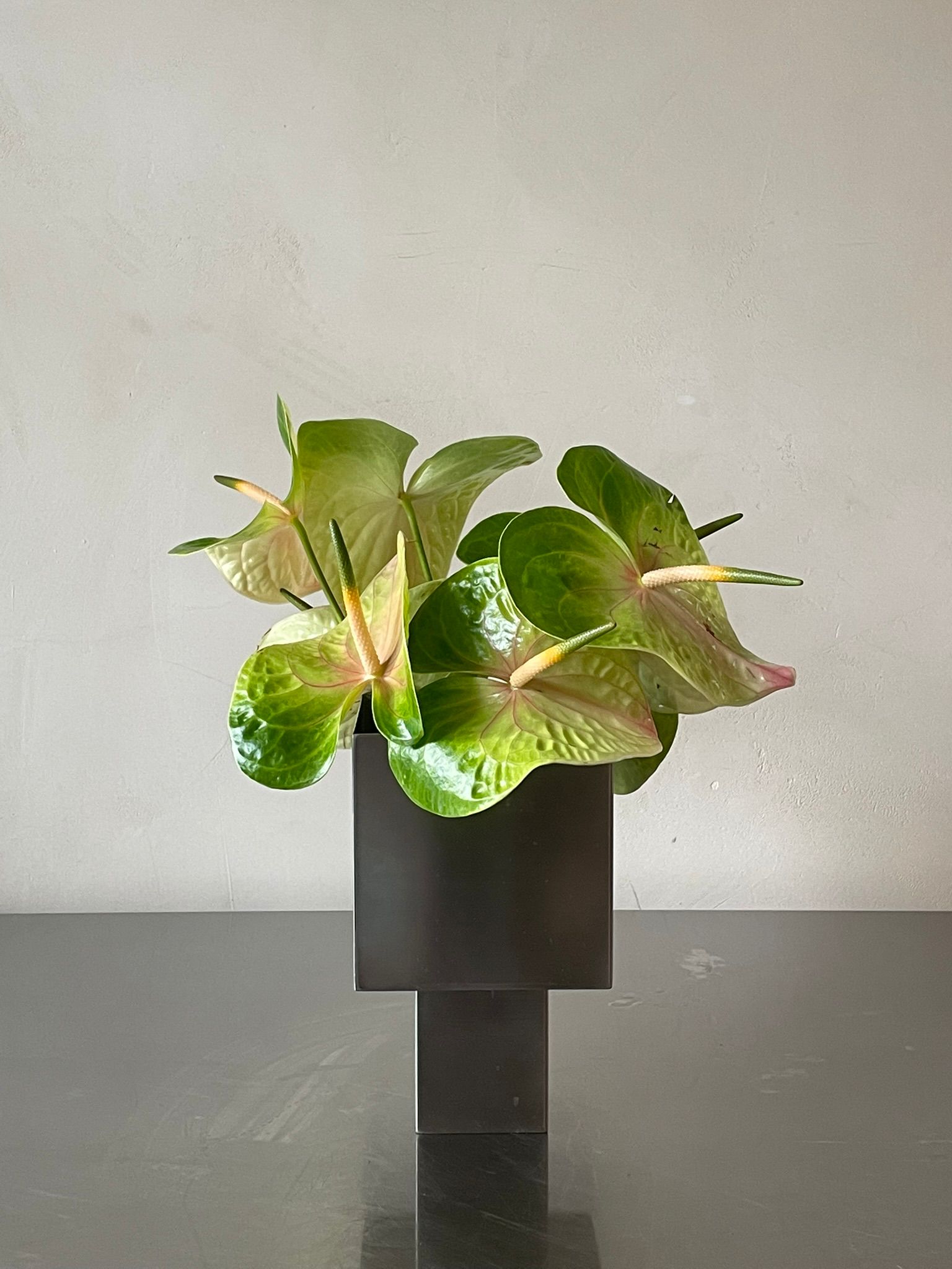 אגרטל נירוסטה