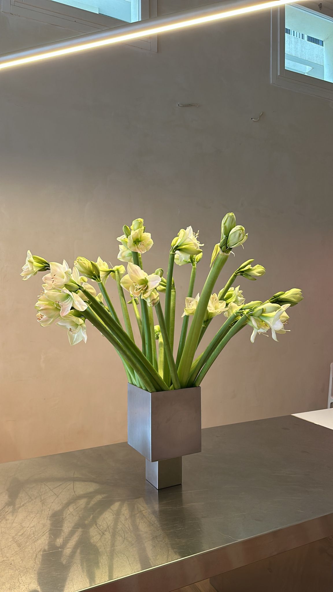 אגרטל נירוסטה