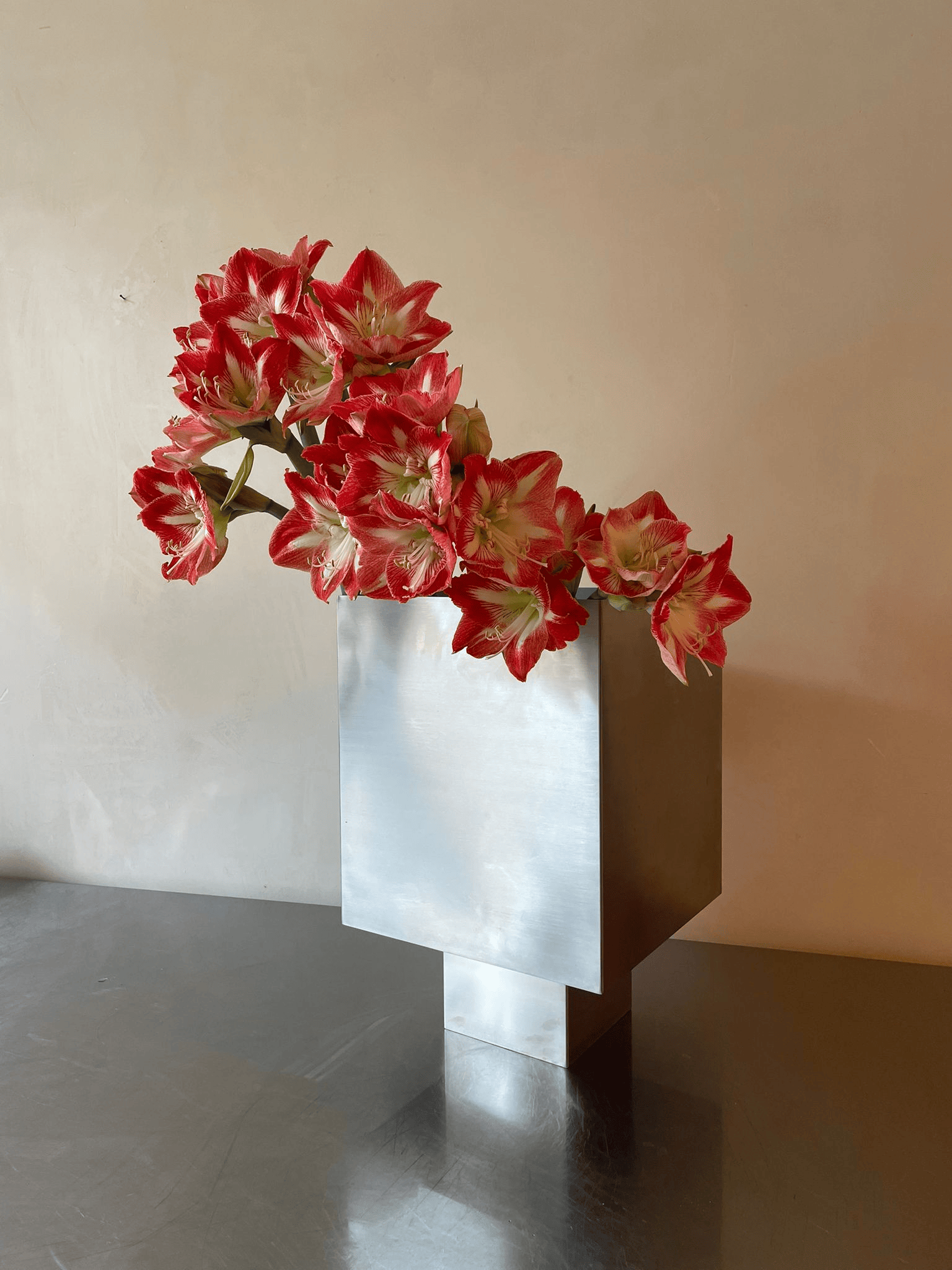 אגרטל נירוסטה