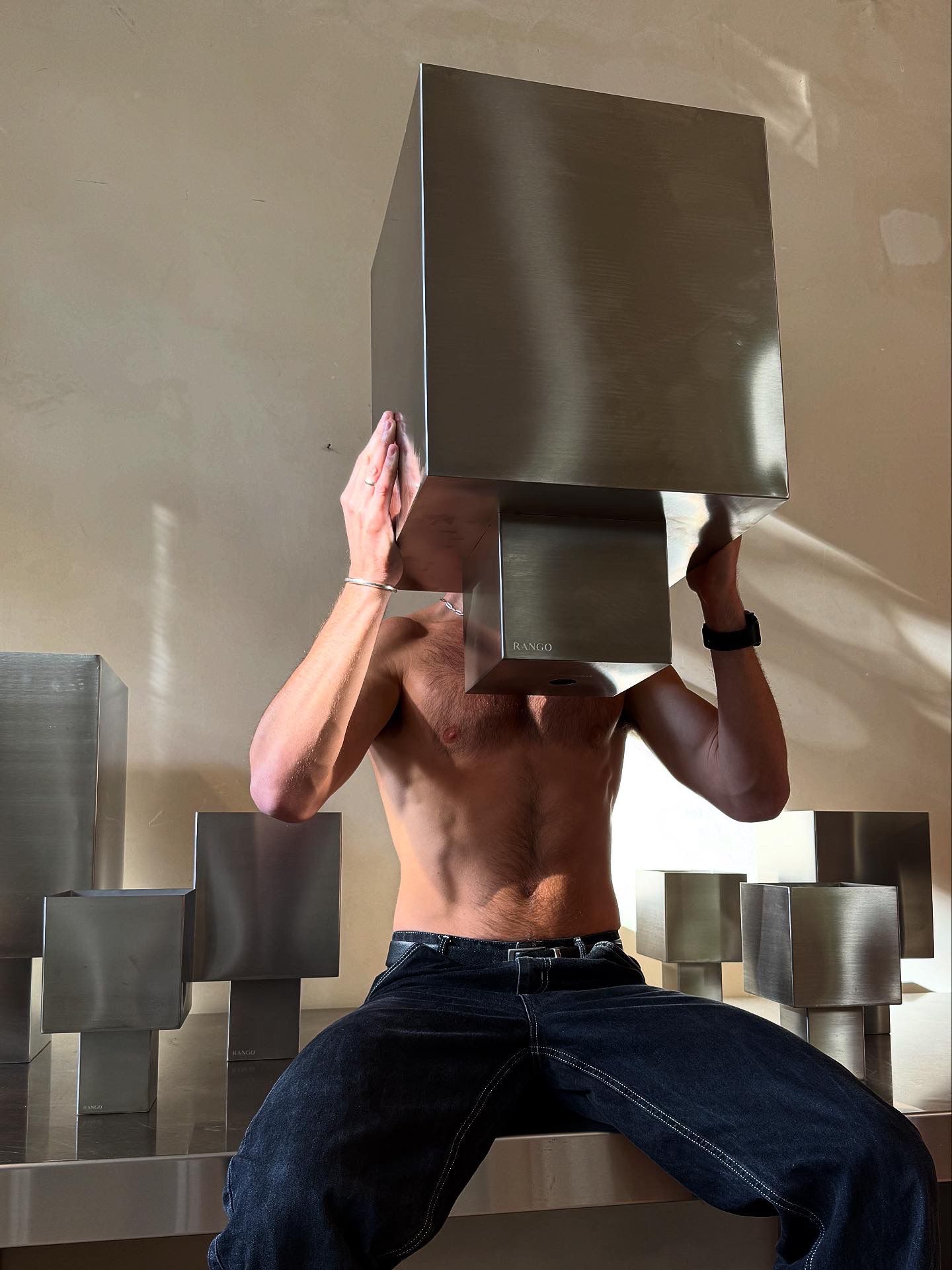 אגרטל נירוסטה