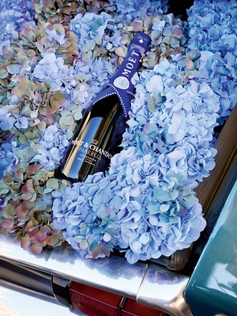 Moet & Chandon - PHARRELL Champagne  בשילוב סידור פרחים