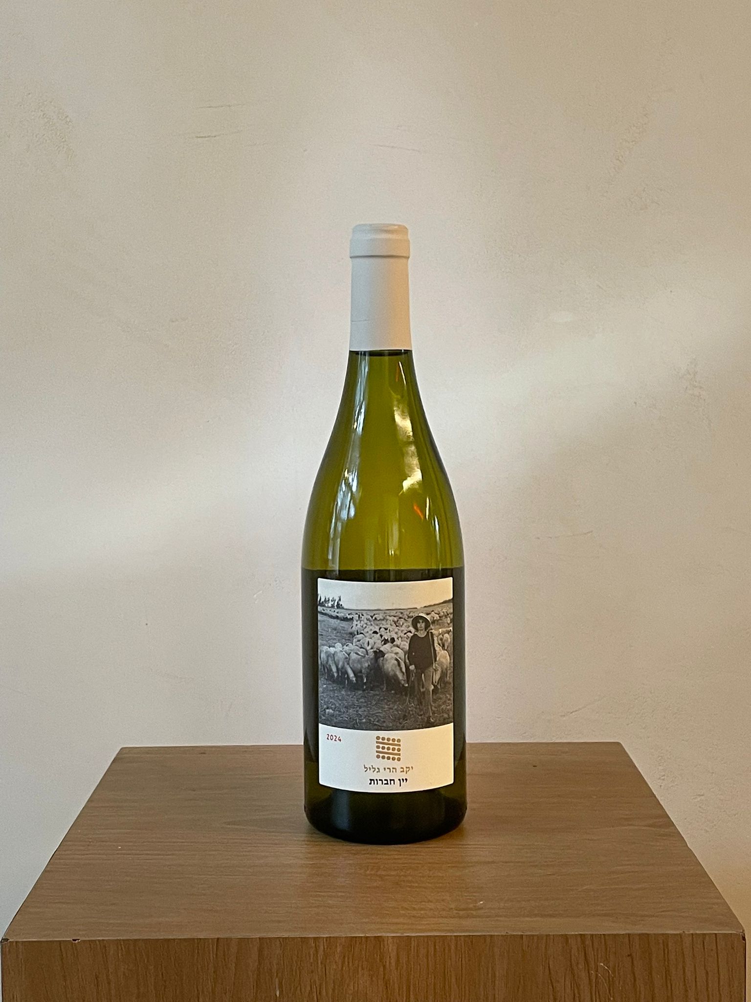 יקב הר ברכה – גִּילָה | יין חברות 2024