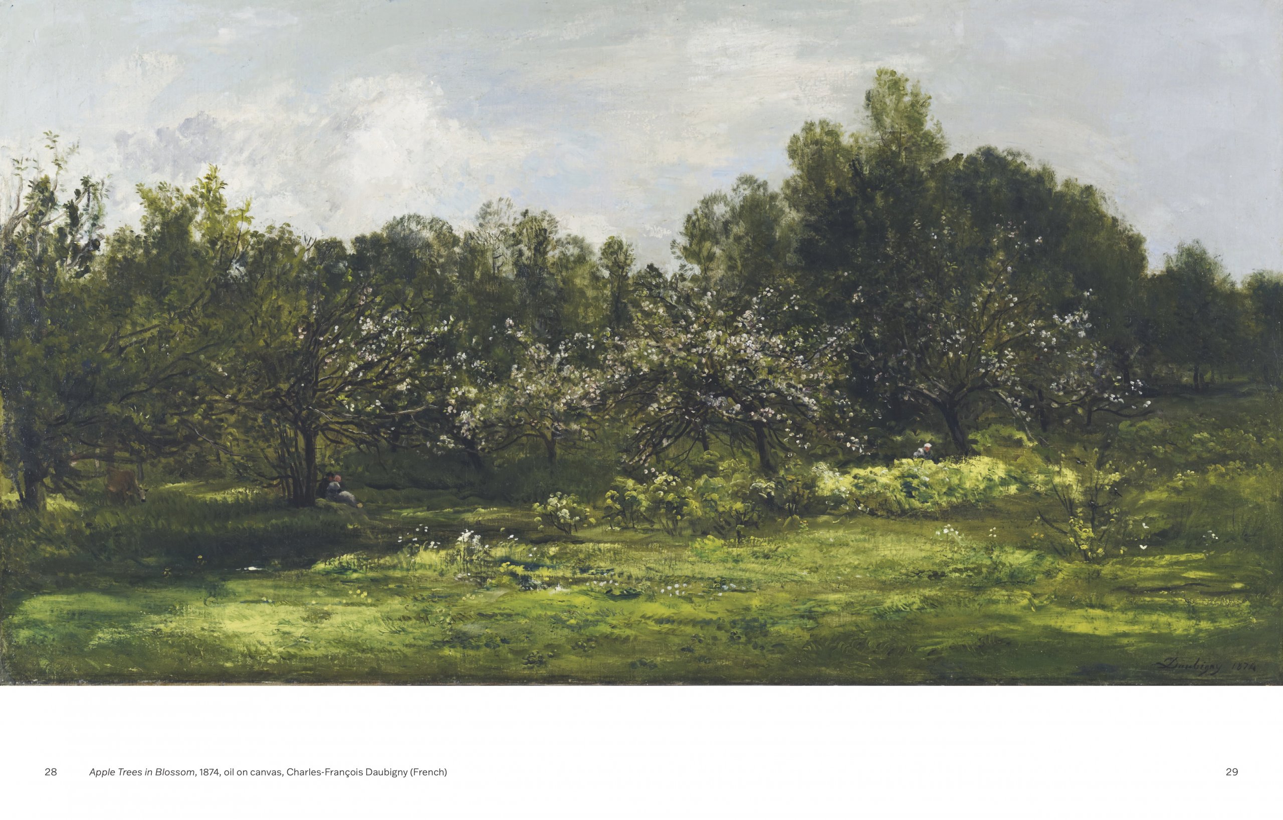 Slow Looking: The Art of Nature — Slow Looking: The Art of Nature