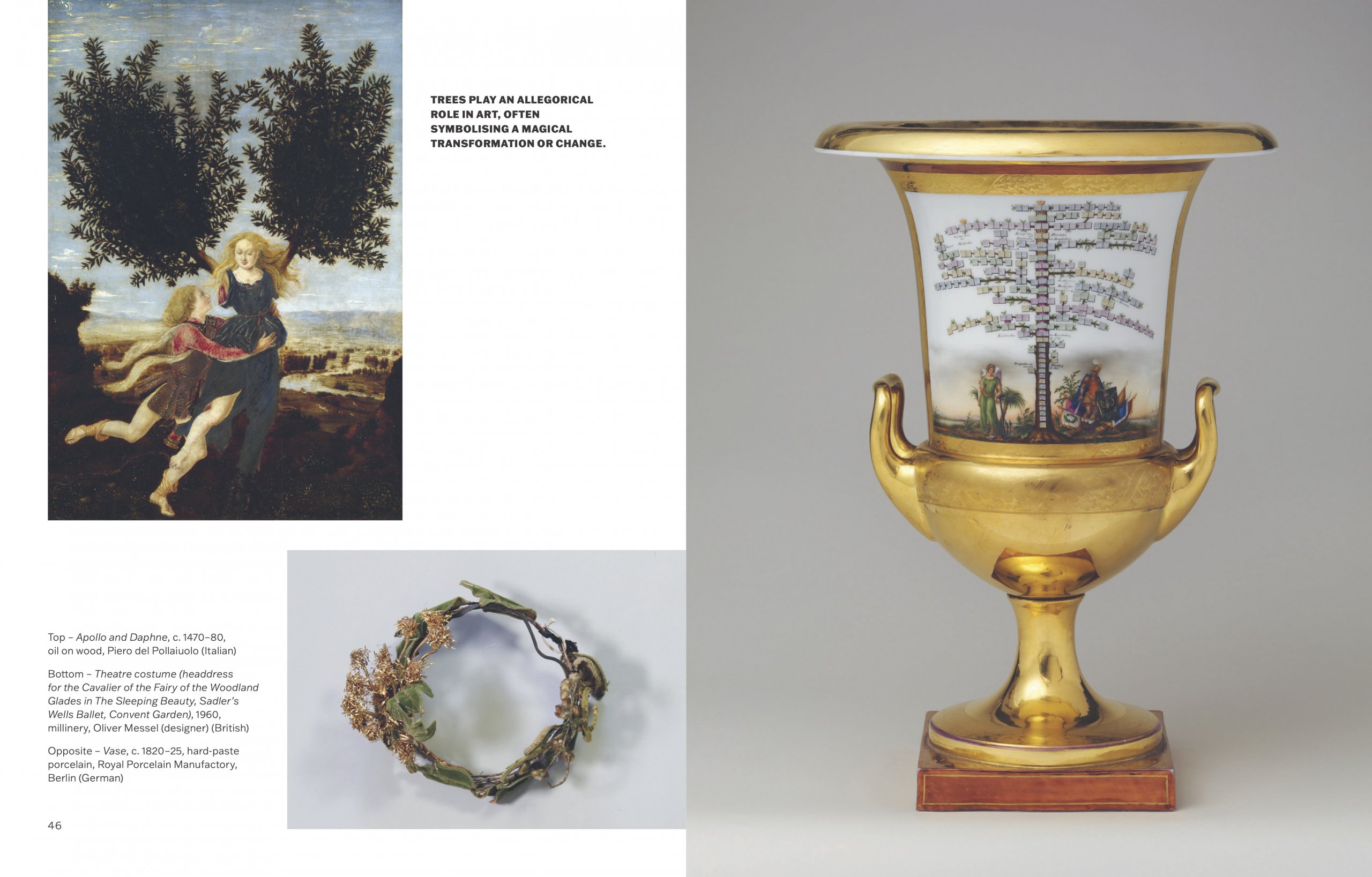 Slow Looking: The Art of Nature — Slow Looking: The Art of Nature