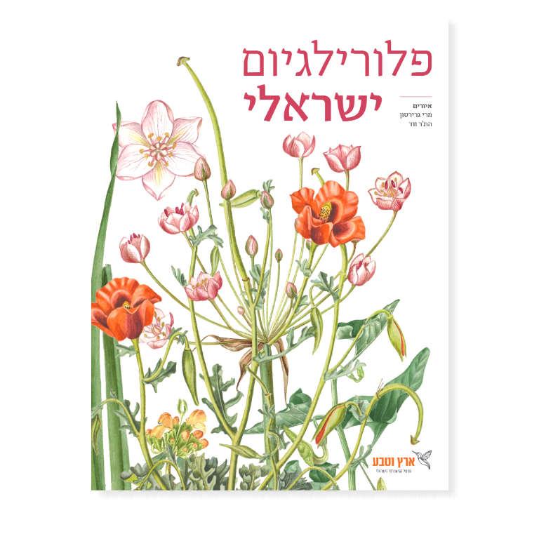 פלורילגיום ישראלי