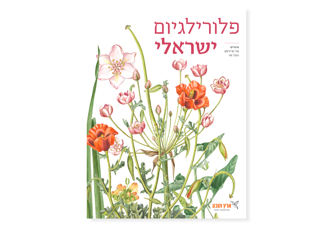 פלורילגיום ישראלי